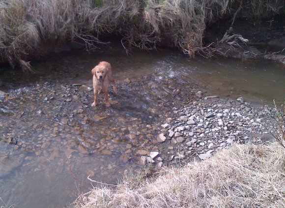 IMG-20120519-00087-2