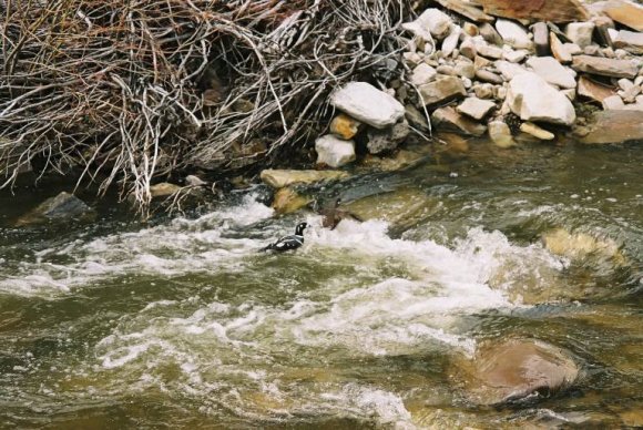 F1010002_768x514_1233351_70