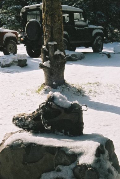 F1010019_514x768_1233434_70