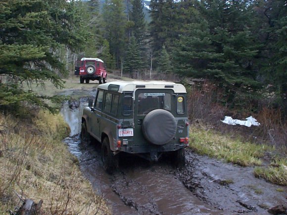 Keith in small bog