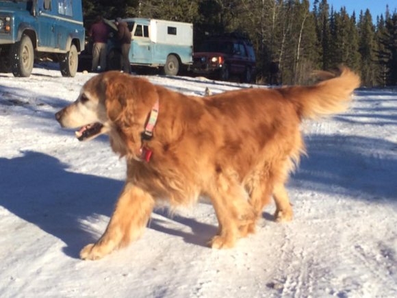 10584081_10156412252200268_8430930815049867617_n