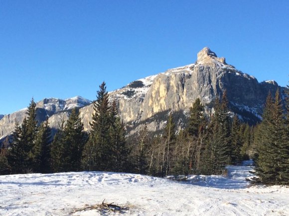 12400690_10156412252060268_7948938847862210047_n