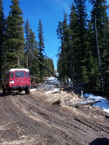 John and looking up trail