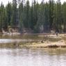 Mclean Creek May 2010