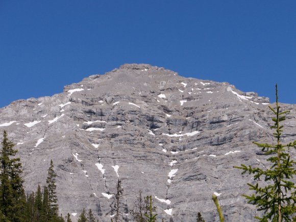 100_1038