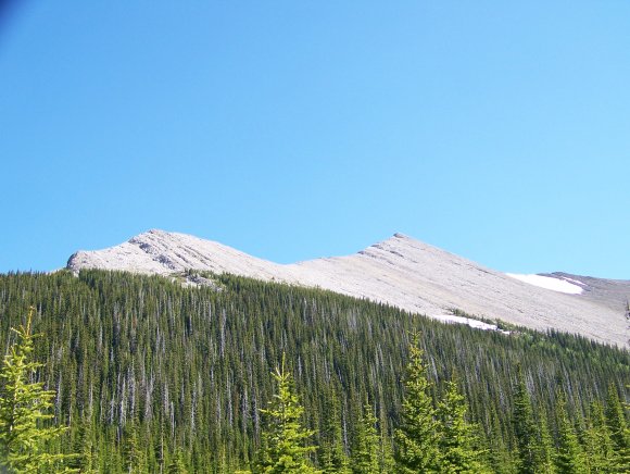100_1041
