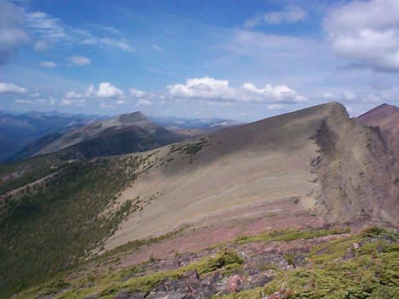 2510 Peak South of Tamerack Summit with Mt Festubert in backround
