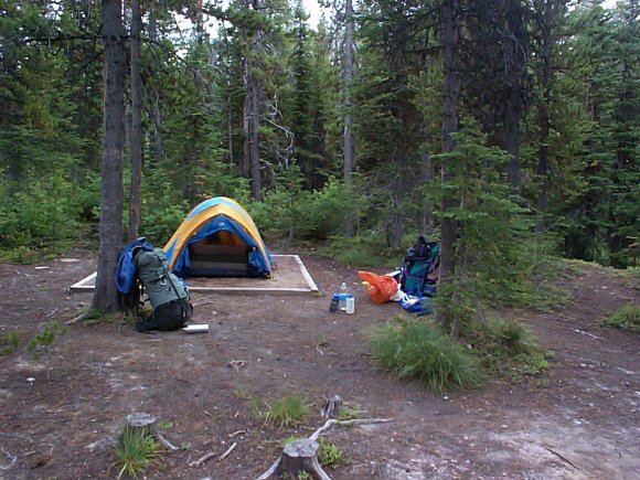 Camp 1 at Akamina Creek