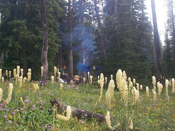 Camp 3 at Sage Pass and John