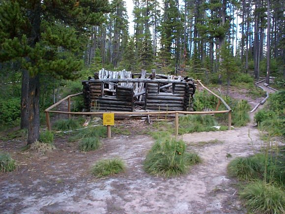 Hut at Akamina Creek