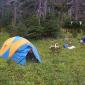 Jutland Creek Campground (Camp 4)