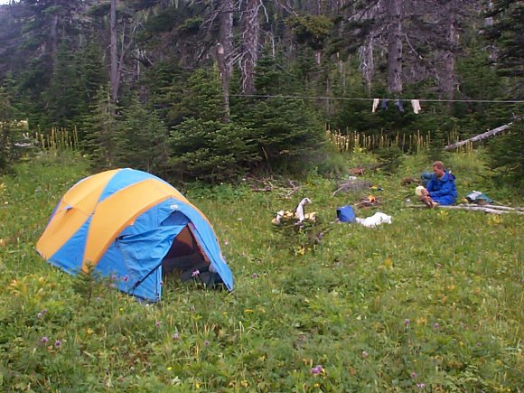 Jutland Creek Campground (Camp 4)