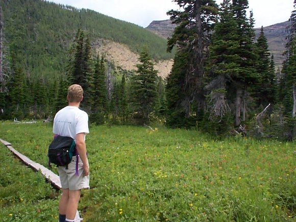 On trail to Forum Lake