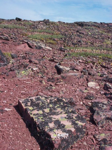 Washed Rock near Mt. Rowe Summit