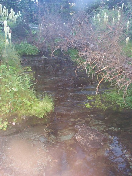 Waterfall near Camp 4