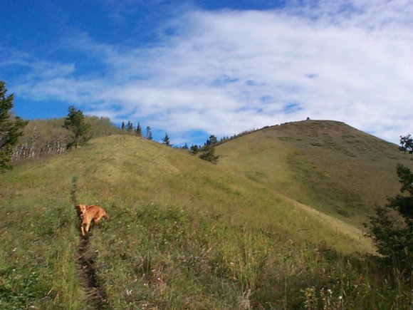 Mesa Butte and Lily