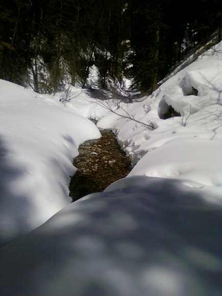 Photo-0089
