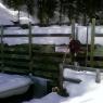 Penstock Look April 2011