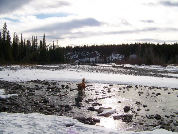 Elbow River