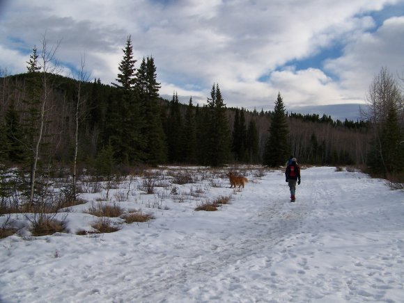 Start of the day leaving Allen Bill