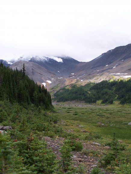 Northover Ridge in the Clouds