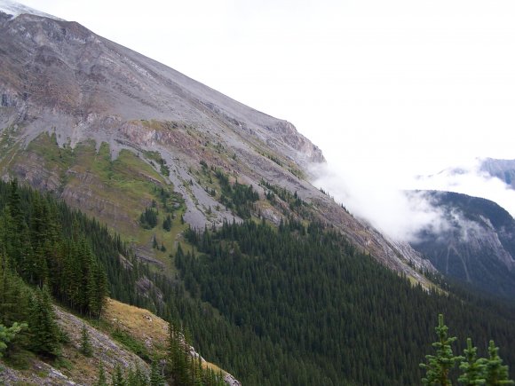 Three Isle Creek Panorama 1